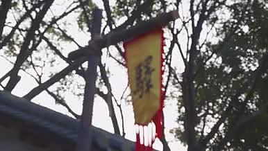 随风飘动的驿站黄色旗帜升格版视频的预览图